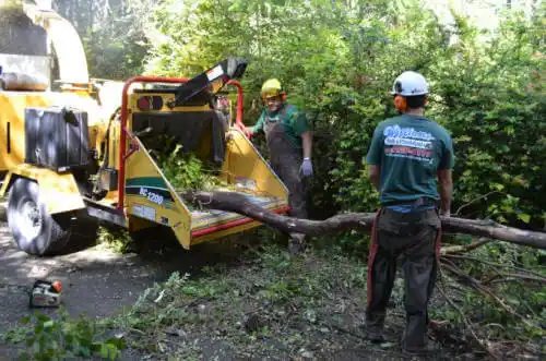 tree services Pierron